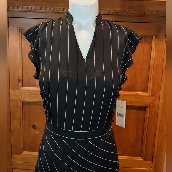 NWT Nanette Lepore Striped Dress Size 4 - Picture 3 of 12